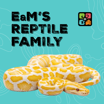 Central: E & M's Reptile Family